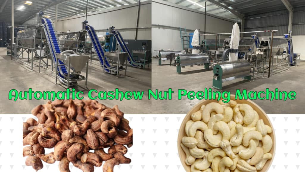 cashew peeling process