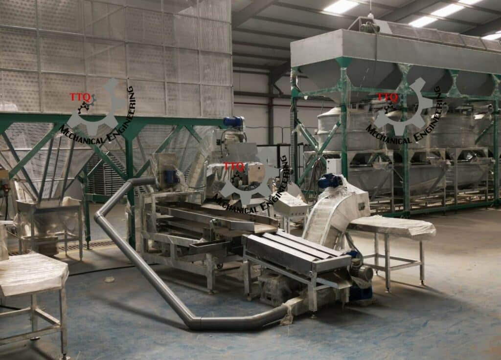 cashew factory in algeria