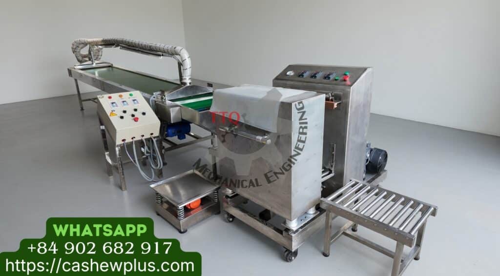 máquina automática de embalagem a vácuo de castanha de caju