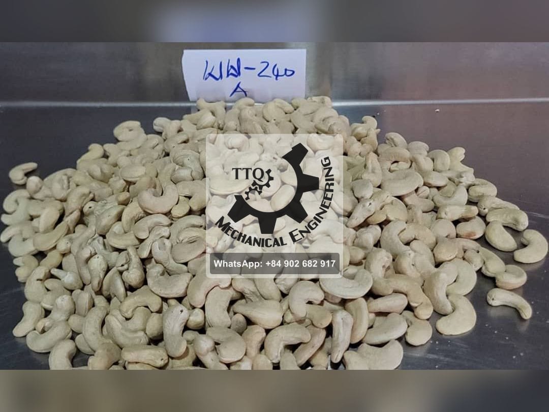 Amostra identificada de amêndoa branca inteira WW240