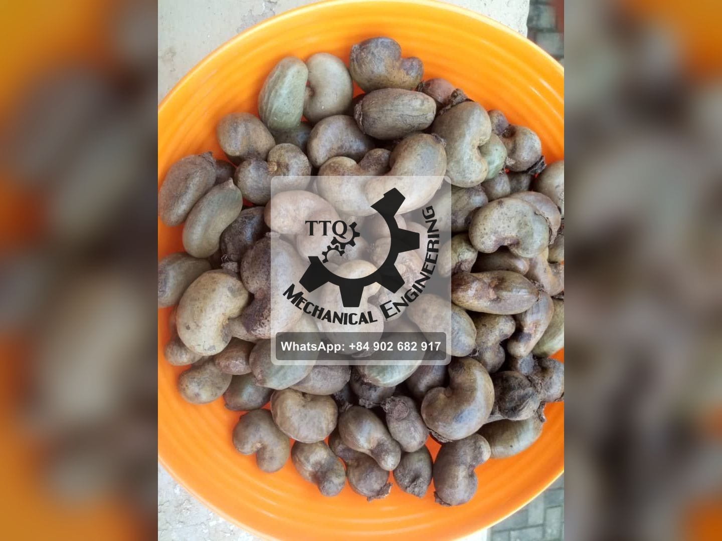 Bassine de noix de cajou brutes en coque, gris-brun et non triées