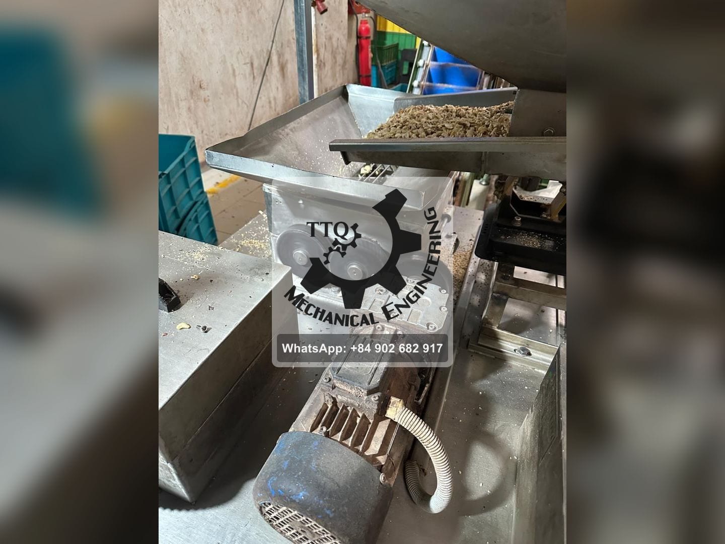 Máquina de cubeteado TTQ en marcha, motorreductor y transmisión por correa, con almendra cubeteada en la bandeja de salida